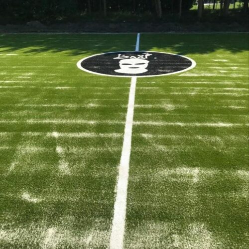 Kunstgras speelvloeren 90 Nog een afbeelding van de kunstgras speelvloer met ingelegde belijningen en logo.